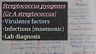 Streptococcuspart2 Group A streptococcus  Virulence factors  Clinical features  Lab diagnosis [upl. by Geiger660]