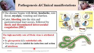 MED LEVEL2 CVS Viruses causing Hemorrhagic fever [upl. by Oluas]