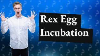 How many air conditioners for Rex egg Ark [upl. by Auohp]