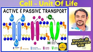 Transport Across Cell Membrane  Active amp Passive NCERT CBSE Class 11 NEET [upl. by Oremor]