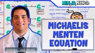 Biochemistry  Michaelis Menten Equation [upl. by Sirahc]