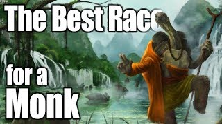 DampD Monk 5e Best Race in 5th Edition Dungeons and Dragons [upl. by Concepcion195]