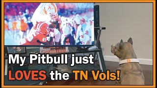 Tenn Vols win World Series NASH just LOVES watching Tennessee Vols [upl. by Caye]