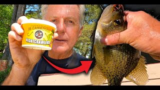 A Fishing Bait that will Catch Crappie Bluegill Shellcracker and Bass [upl. by Mcripley716]