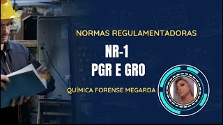 NR1 PGR GRO normasregulamentadoras nr1 pgr gro sst cnu trabalhadores concursospúblicos [upl. by Christa]