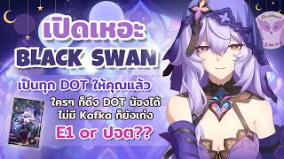 เปิดเหอะ Black Swan เพราะว่าน้องเป็นทุก DOT ให้คุณแล้ว ไม่จำเป็นต้องมีKafka l Honkai Star Rail [upl. by Rap]