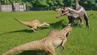 2 Spinoraptor VS Spinosaurus  Jurassic World Evolution [upl. by Weihs]