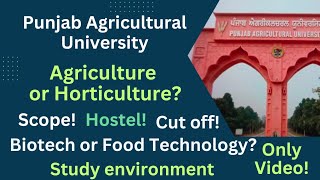 Best Course In PAU Final Year BSc Agriculture Student Shared Experience Of UniversityHostelStudy [upl. by Vivien520]