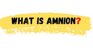 What is Amnion  Amnion Definition  Amnion meaning  Amnion [upl. by Regine]