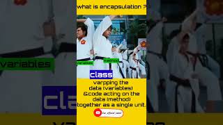 what is encapsulation Tamil cseofficialtamil [upl. by Sydelle724]