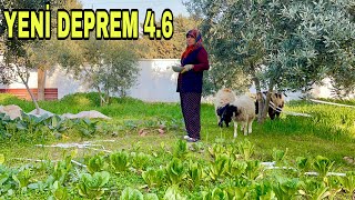 YENİ DEPREM 46 HATAY BEŞİK GİBİ SALLANIYOR YENİ EVİMİZİ YAPIYORUZ  28022023 [upl. by Nnylarat]