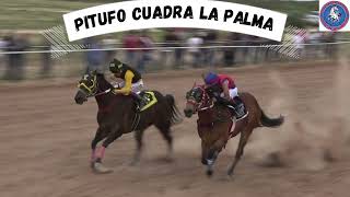 PITUFO vs AZTECA vs UVA Pista El Chicharito Race Track [upl. by Skelly]