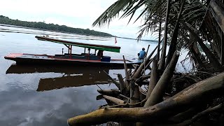 Mancing langsung masak udang saos kecap spesial buat anak gadis kesayangan ayah [upl. by Enirual831]