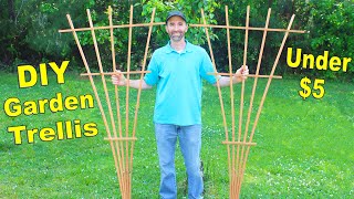 How to Make a 6FT Garden Trellis with 1 Board  Simple DIY Fan Trellis [upl. by Ithsav162]