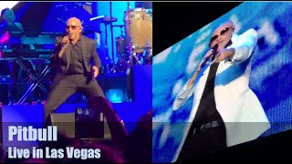 PITBULL live in Las Vegas [upl. by Fanechka]