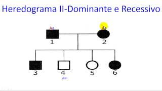 Recessivo e dominante nos heredogramas [upl. by Soble342]