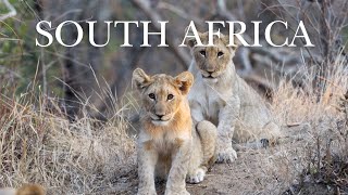 Our Honeymoon Safari in South Africa [upl. by Medor]