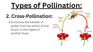 🤯 Types of pollination shorts facts pollinations pollinators pollen viral youtubeshorts [upl. by Elorac681]