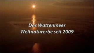 Das Wattenmeer  Weltnaturerbe [upl. by Gnuj217]