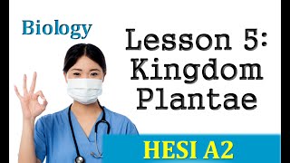 HESI Biology Review  Lesson 5 Kingdom Plantae [upl. by Ilahsiav716]