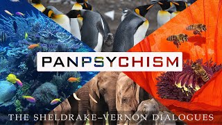 Panpsychism SheldrakeVernon Dialogue 64 [upl. by Steffin]