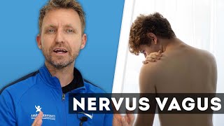 Wat is de Nervus Vagus [upl. by Juno]