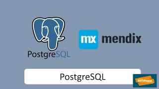 Mendix PostgreSQL DB Connection [upl. by Gnourt]