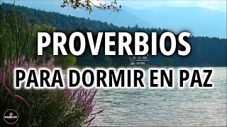 Palabra de Dios Para Dormir  Proverbios  Biblia Hablada  Despierta Mas Sabio [upl. by Soll]