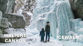 Maligne Canyon Icewalk 20240120  Jasper  Alberta  Canada [upl. by Frayda994]