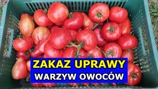 Czy będzie Zakaz Uprawy Warzyw i Owoców we Własnych Ogródkach Przydomowych Zielony Ład Ślad węglowy [upl. by Ryter]