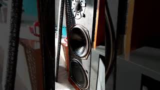 Celestion ditton 66 [upl. by Fernande56]