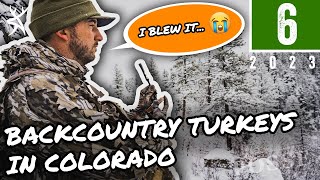 Backcountry Turkey Hunting in Colorado  I BLEW IT [upl. by Nottage]