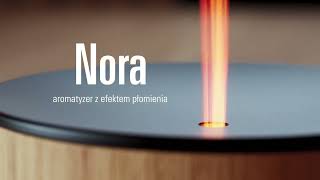 Aromatyzer Stadler Form Nora [upl. by Nahama]