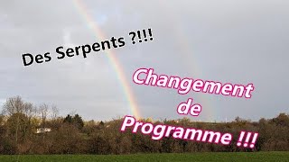 Changement de Programme des Serpent [upl. by Teerprug726]