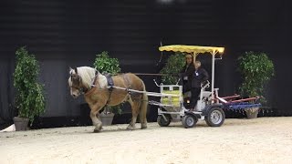 Equitalyon 2015 les chevaux de trait [upl. by Eiboh]