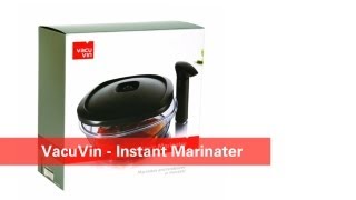 Vacu Vin Instant Marinater Review  Damn Good Reviews [upl. by Ellehcsar]