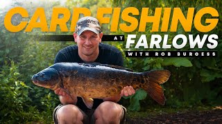 CARP FISHING at Farlows with Carp Angling Pro Rob Burgess  Carp Rigs  Mainline Baits Carp Fishing [upl. by Yarw]