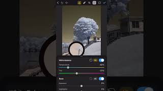 Infrared Editing on iPhone with Photomator [upl. by Annairoc978]