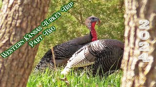 Western Kansas Turkey Trip 2024  Part Two [upl. by Relyk780]