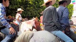 La mejor Fiesta de México el combate de Flores de Arandas Jalisco [upl. by Yatnuahs]