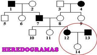 HEREDOGRAMAS  Exercícios e Dicas [upl. by Edwina]