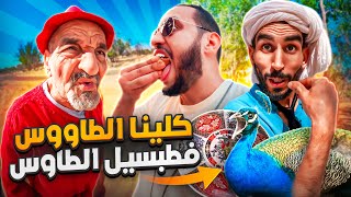 كلينا الطاوس فطبسيل الطاوس😳🤣 [upl. by Peggir]