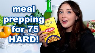 STARTING THE 75 HARD CHALLENGE  MEAL PREPPING amp GROCERY SHOPPING [upl. by Atneciv]