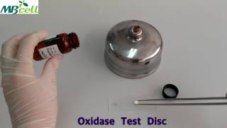 Oxidase Test Disc [upl. by Arehs193]