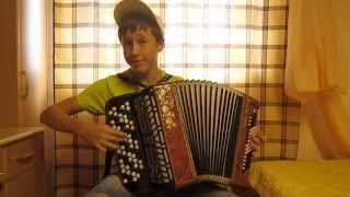 Bara Bara accordion cover BayanStreet3 [upl. by Lehcin]