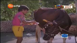 Naan Petradutha Pillai Simbu Gomatha songs TR hits [upl. by Petulia971]