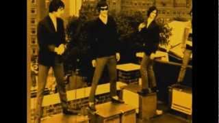 THE KINKS  LOLA the great live version [upl. by Radu]