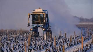 Vigne lutte antigel  un générateur de brouillard testé à Vouvray [upl. by Quartas]