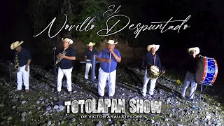 EL NOVILLO DESPUNTADO TOTOLAPAN SHOW EN VIVO [upl. by Merrell]