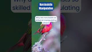 Narcissistic Manipulation Are You Being Controlled [upl. by Meadows]